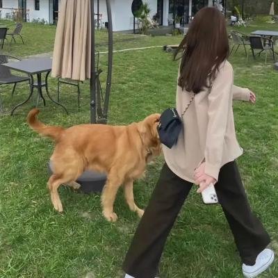 哈啰！萌鬼屋